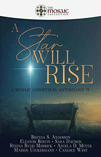 Stock image for A Star Will Rise: A Mosaic Christmas Anthology II for sale by HPB Inc.