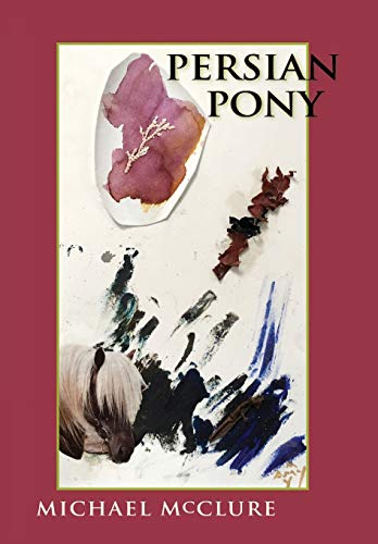 Beispielbild fr Persian Pony zum Verkauf von Friends of  Pima County Public Library