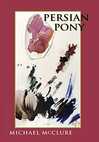 9781732445840: Persian Pony