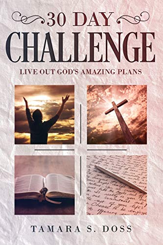 Stock image for 30 Day Challenge: "Live Out God's Amazing Plans' for sale by SecondSale