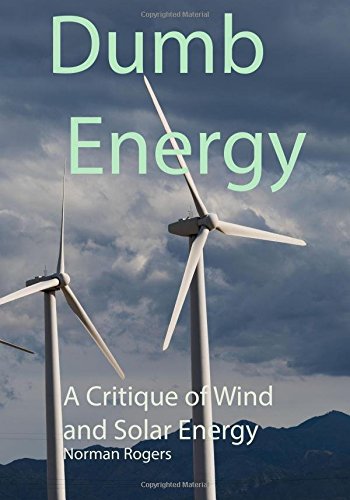 Stock image for Dumb Energy : A Critique of Wind and Solar Energy for sale by Better World Books