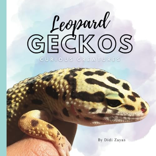 Stock image for Leopard Geckos: Curious Creatures for sale by GF Books, Inc.