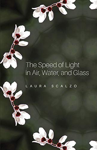 9781732694002: The Speed of Light in Air, Water, and Glass