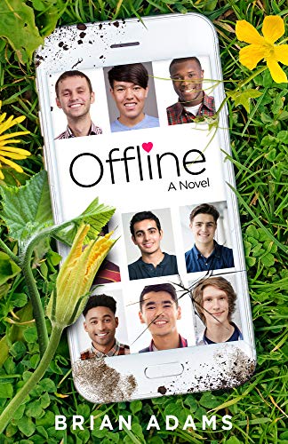 9781732743427: Offline: A Novel