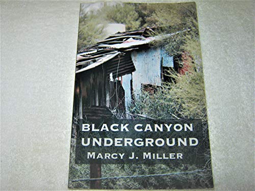 Stock image for Black Canyon Underground for sale by -OnTimeBooks-