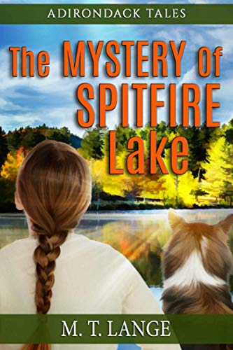 Imagen de archivo de Adirondack Tales The Mystery of Spitfire Lake a la venta por Once Upon A Time Books