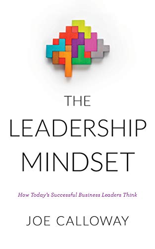 Imagen de archivo de The Leadership Mindset: How Today's Successful Business Leaders Think a la venta por SecondSale