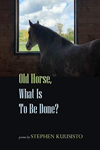 Stock image for Old Horse, What Is to Be Done? for sale by Small World Books