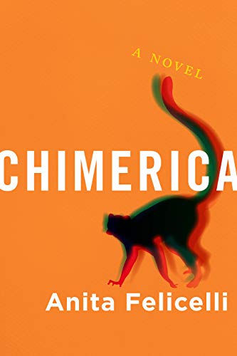 Beispielbild fr Chimerica: A Novel zum Verkauf von Buchpark
