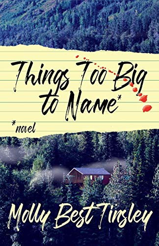 9781733034401: Things too Big to Name