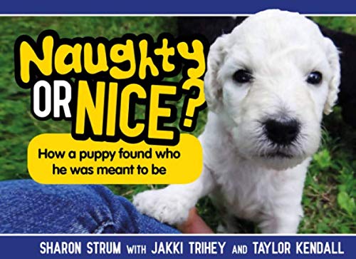 Stock image for Naughty or Nice?: How a puppy found who he was meant to be (Bentley's Adventures) for sale by Wonder Book