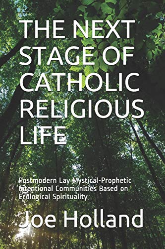 Stock image for The Next Stage of Catholic Religious Life : Postmodern Lay Mystical-Prophetic Intentional Communities Based on Ecological Spirituality for sale by Better World Books