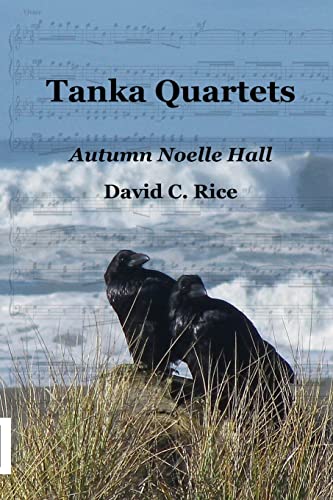 Stock image for Tanka Quartets for sale by Discover Books
