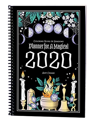 2020 Coloring Planner
