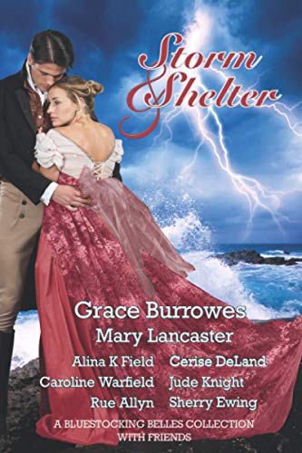 Beispielbild fr Storm and Shelter: A Bluestocking Belles Collection With Friends zum Verkauf von GreatBookPrices