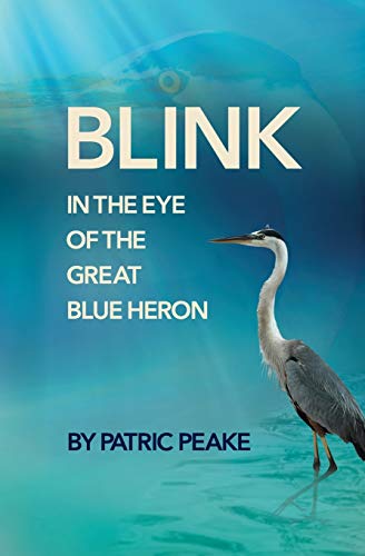 9781733293228: Blink in the Eye of the Great Blue Heron: A Educator's Journey of Discovery