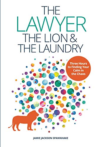 9781733373616: The Lawyer, the Lion, and the Laundry: Three Hours to Finding Your Calm in the Chaos