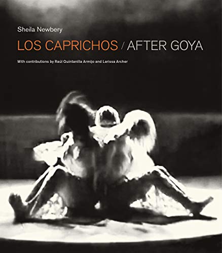 Stock image for Los Caprichos: after Goya for sale by thebookforest.com