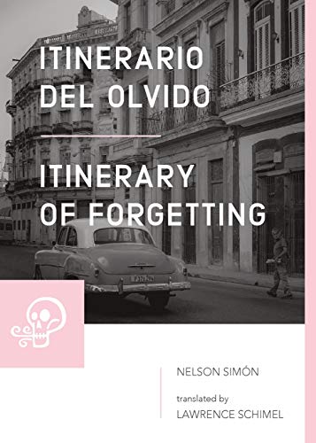 Imagen de archivo de Itinerario del olvido / Itinerary of Forgetting a la venta por Lucky's Textbooks