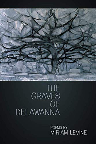 Imagen de archivo de The Graves of Delawanna a la venta por Revaluation Books