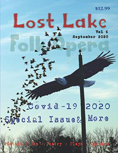 Beispielbild fr Lost Lake Folk Opera V6: Covid-19 2020 issue (Lost Lake Folk Opera Literary Magazine) zum Verkauf von Lucky's Textbooks