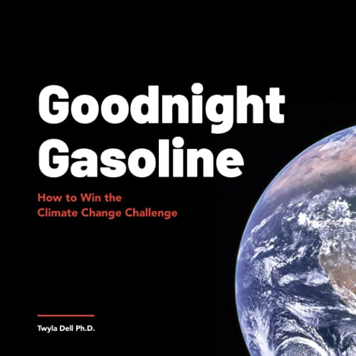 Imagen de archivo de Goodnight Gasoline: How to Win the Climate Change Challenge a la venta por Save With Sam