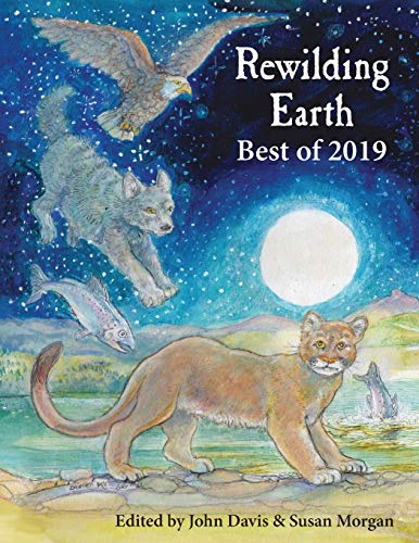 Beispielbild fr Rewilding Earth: Best of 2019 zum Verkauf von AwesomeBooks