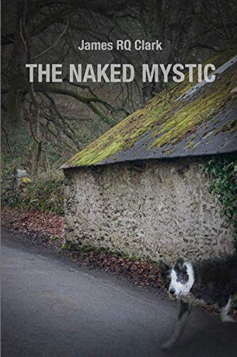 Beispielbild fr The Naked Mystic zum Verkauf von Russell Books