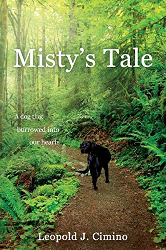 9781733605809: Misty's Tale