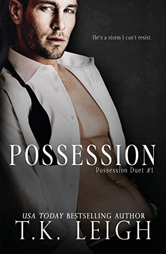 Stock-Bild f�r Possession (Possession Duet, Band 1)