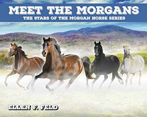 Beispielbild fr Meet The Morgans: The Stars of the Morgan Horse Series (Morgan Horse Series, Book 8) zum Verkauf von ThriftBooks-Atlanta