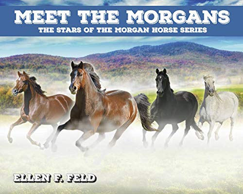 9781733767439: Meet The Morgans: The Stars of the Morgan Horse Series (Morgan Horse Series, Book 8)