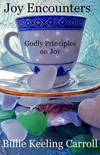 Beispielbild fr Joy Encounters: Godly Principles on Joy zum Verkauf von Save With Sam