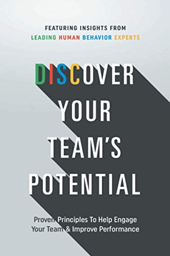 Imagen de archivo de Discover Your Team's Potential: Proven Principles To Help Engage Your Team & Improve Performance a la venta por ZBK Books