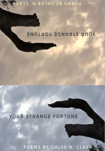 Stock image for Your Strange Fortune for sale by HPB-Ruby
