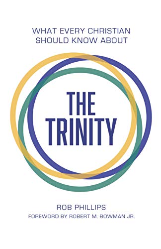 Stock image for What Every Christian Should Know About the Trinity for sale by Goodwill of Colorado