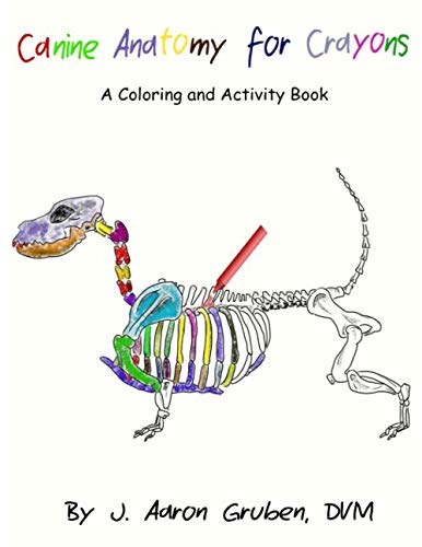 Stock image for Canine Anatomy for Crayons: A Coloring and Activity Book for sale by GF Books, Inc.