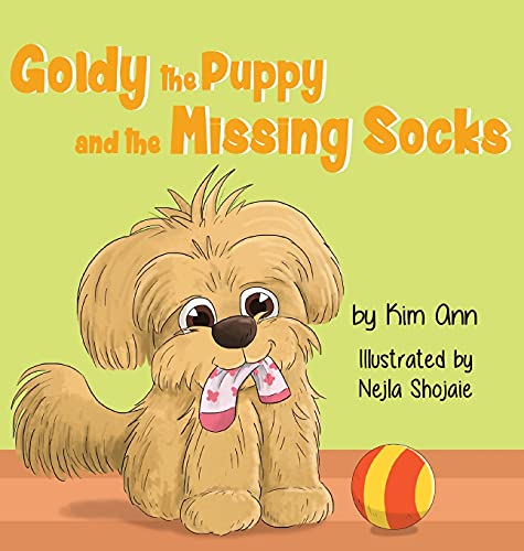 9781733938099: Goldy the Puppy and the Missing Socks