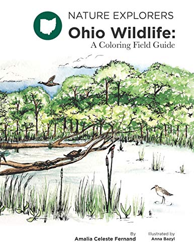 Beispielbild fr Ohio Wildlife: A Coloring Field Guide zum Verkauf von Read&Dream