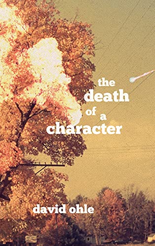 Stock image for The Death Of A Character for sale by GreatBookPrices