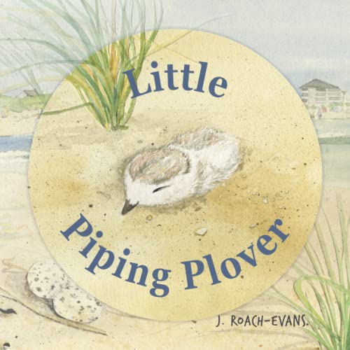 Stock image for Little Piping Plover for sale by SecondSale