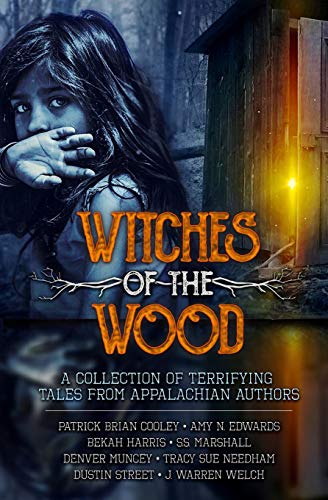 Beispielbild fr Witches of the Wood zum Verkauf von Lucky's Textbooks