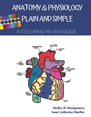 9781734167108: Anatomy & Physiology Plain and Simple: A Coloring Review Guide