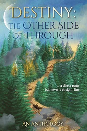9781734200300: Destiny: The Other Side of Through: 1 (OSOT)