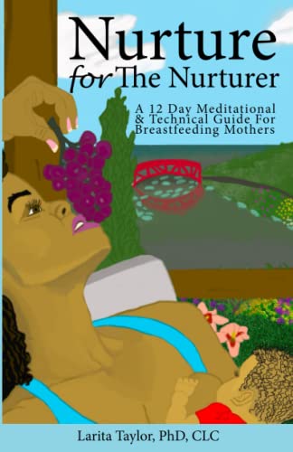 Stock image for Nurture for the Nurturer: A 12 Day Meditational & Technical Guide for Breastfeeding Mothers (A 12 Day Meditational and Technical Guide for Breastfeeding Mothers) for sale by BooksRun