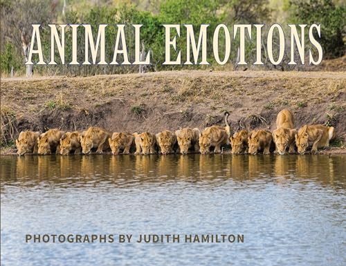 Imagen de archivo de Animal Emotions a la venta por SecondSale