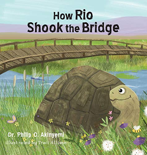 9781734260311: How Rio Shook the Bridge: 1 (Rio the Tortoise)