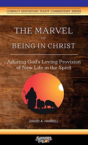 Beispielbild fr The Marvel of Being in Christ: Adoring God's Loving Provision of New Life in the Spirit zum Verkauf von Save With Sam