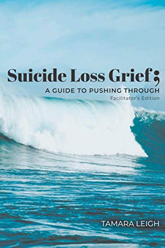 Stock image for Suicide Loss Grief; A GUIDE TO PUSHING THROUGH: FACILITATOR'S EDITION for sale by Revaluation Books