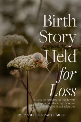Imagen de stock para Birth Story Held for Loss: A Guide for Reflecting on Your Fertility Experience, Miscarriage, Abortion, TFMR, Stillbirth, and Infant Loss